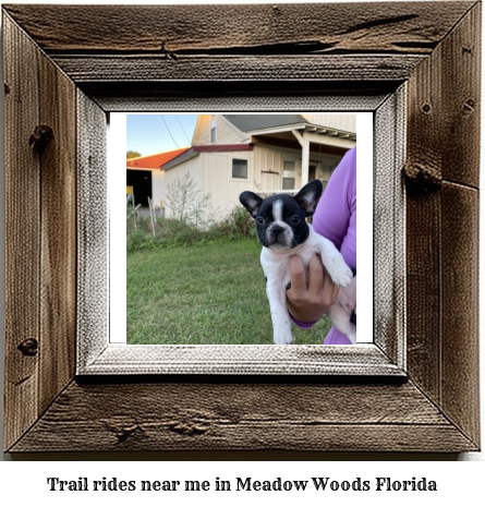 trail rides near me in Meadow Woods, Florida